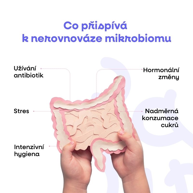 Co přispívá k nerovnováze mikrobiomu